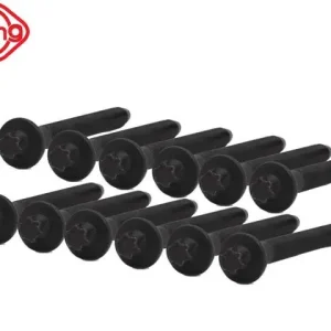Direct van de fabrikant - Cilinderkop boutset 12-stuks Diesel 5-Cil. (D5244T)