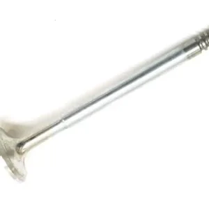 Tijdelijke actie | Inlaatklep Benzine 4, 5 en 6-Cil. 7 MM -1999
