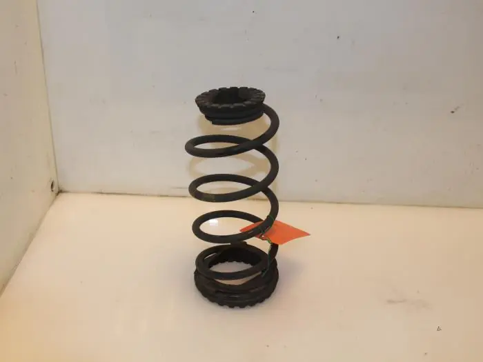 Populair - Schroefveer achter Fiat Punto Evo O114512
