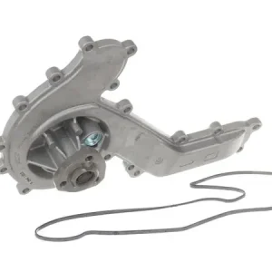 Direct bestellen | SKF - Waterpomp, motorkoeling