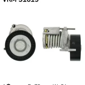 Veel gevraagd - SKF - Riemspanner, Poly V-riem